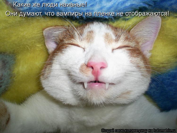 Котоматрица: Какие же люди наивные! Они думают, что вампиры на пленке не отображаются!