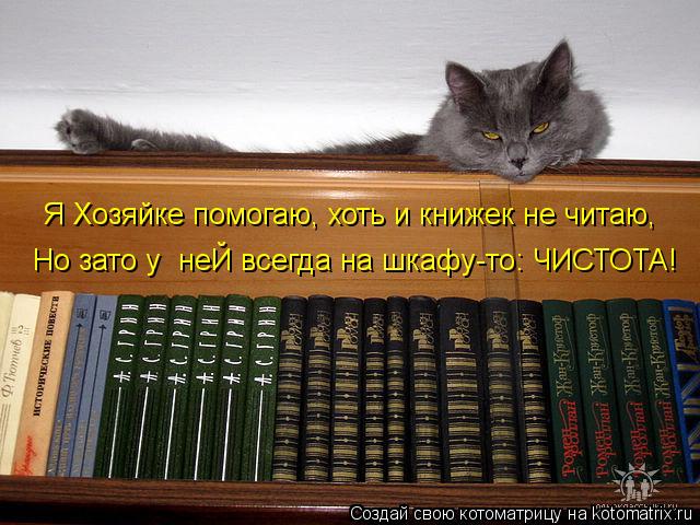 Я Хозяйке помогаю, хоть и книжек не читаю, Но зато у неЙ всегда на шкафу-то: ЧИСТОТА!... Котоматрица: Я Хозяйке помогаю, хоть и книжек не читаю, Но зато у неЙ всегда на шкафу-то: ЧИСТОТА!
