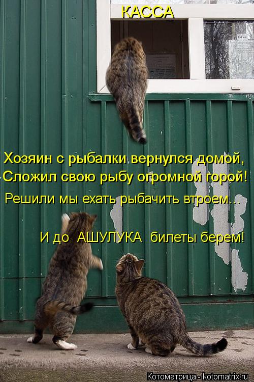 КАССА Хозяин с рыбалки вернулся домой, Сложил свою рыбу огромной горой! Решили мы ехать рыбачить втро... Котоматрица: КАССА Хозяин с рыбалки вернулся домой, Сложил свою рыбу огромной горой! Решили мы ехать рыбачить втроем... И до АШУЛУКА билеты берем!