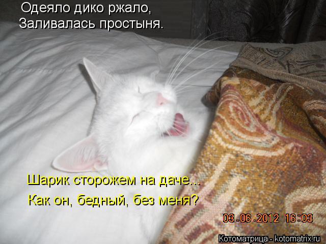 Одеяло дико ржало, Заливалась простыня. Шарик сторожем на даче... Как он, бедный, без меня?... Котоматрица: Одеяло дико ржало, Заливалась простыня. Шарик сторожем на даче... Как он, бедный, без меня?