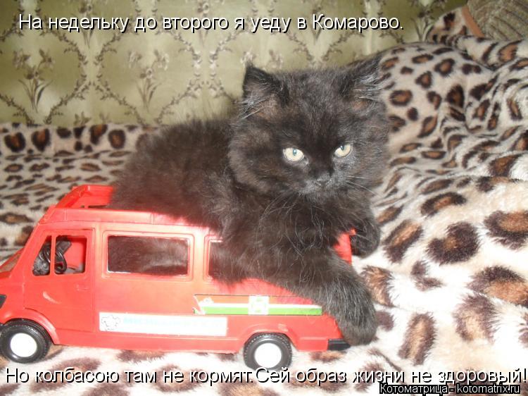 На недельку до второго я уеду в Комарово. Но колбасою там не кормят.Сей образ жизни не здоровый!... Котоматрица: На недельку до второго я уеду в Комарово. Но колбасою там не кормят.Сей образ жизни не здоровый!