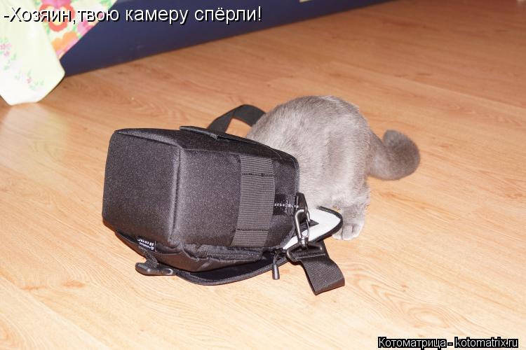 Котоматрица: -Хозяин,твою камеру спёрли!