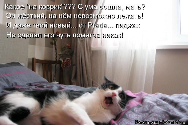 Какое "на коврик"??? С ума сошла, мать? Он жёсткий, на нём невозможно лежать! И даже твой новый... от... Котоматрица: Какое "на коврик"??? С ума сошла, мать? Он жёсткий, на нём невозможно лежать! И даже твой новый... от Prada... пиджак Не сделал его чуть помягче никак