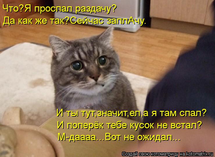 Котоматрица: Что?Я проспал раздачу? Да как же так?Сейчас заплАчу. И ты тут,значит,ел,а я там спал? И поперёк тебе кусок не встал? М-даааа...Вот не ожидал...