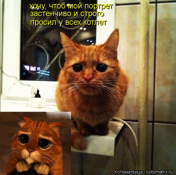 Котоматрица: хочу, чтоб мой портрет застенчиво и строго просил у всех котлет