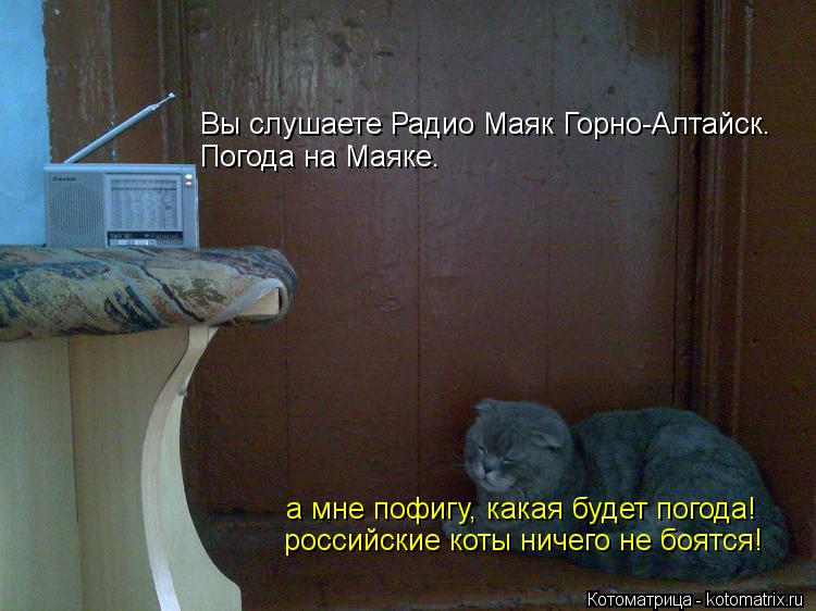 Вы слушаете Радио Маяк Горно-Алтайск. Погода на Маяке. а мне пофигу, какая будет погода! российские к... Котоматрица: Вы слушаете Радио Маяк Горно-Алтайск. Погода на Маяке. а мне пофигу, какая будет погода! российские коты ничего не боятся!
