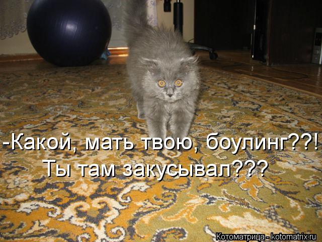 Котоматрица: -Какой, мать твою, боулинг??! Ты там закусывал???