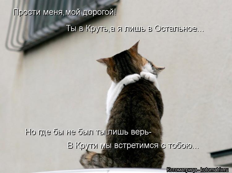 Котоматрица: Прости меня,мой дорогой! Ты в Круть,а я лишь в Остальное... Но где бы не был ты,лишь верь- В Крути мы встретимся с тобою...