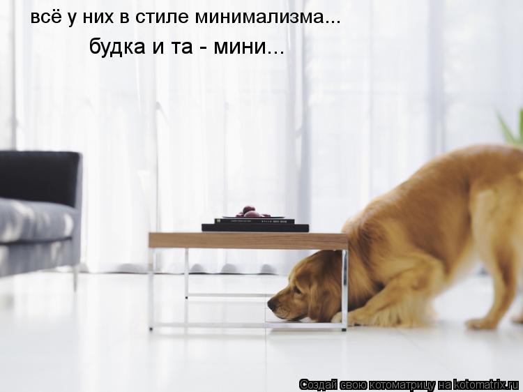 Котоматрица: всё у них в стиле минимализма... будка и та - мини...