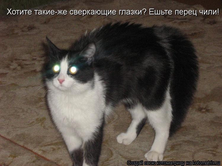 Хотите такие-же сверкающие глазки? Ешьте перец чили!... Котоматрица: Хотите такие-же сверкающие глазки? Ешьте перец чили!