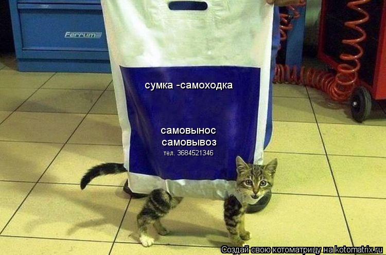 Котоматрица: сумка -самоходка самовынос самовывоз тел. 3684521346
