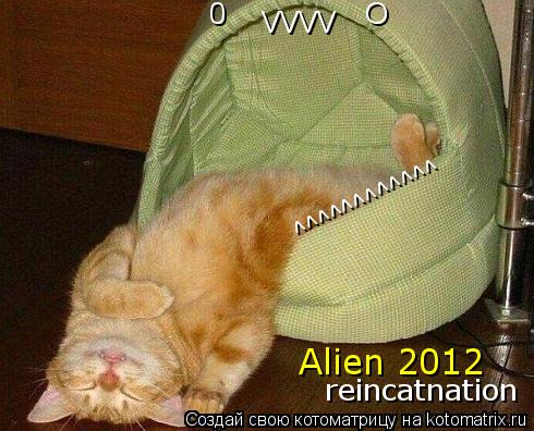 0 O ^^^^^^^^^^^^ VVVV Alien 2012 reincatnation... Котоматрица: 0 O ^^^^^^^^^^^^ VVVV Alien 2012 reincatnation