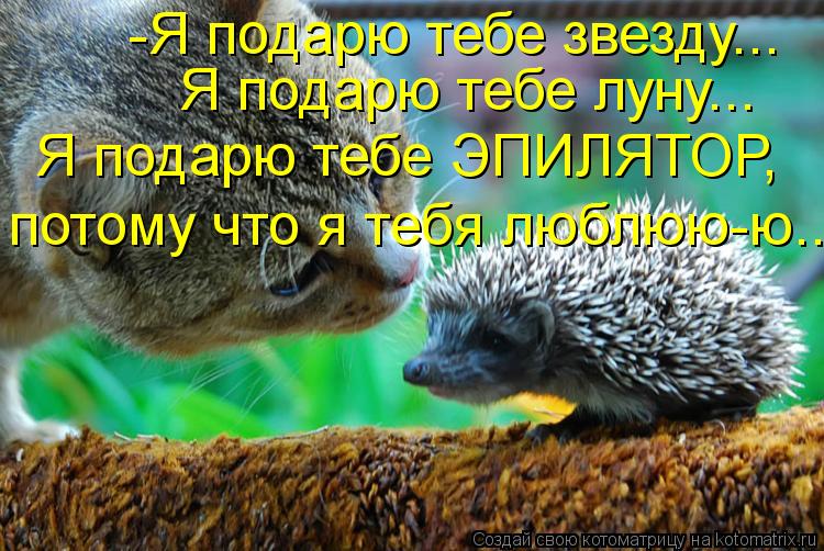 Котоматрица: -Я подарю тебе звезду... Я подарю тебе луну... Я подарю тебе ЭПИЛЯТОР, потому что я тебя люблюю-ю..