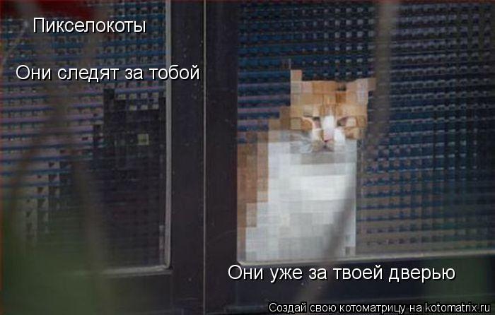 Котоматрица: Пикселокоты Пикселокоты Они следят за тобой  Они уже за твоей дверью