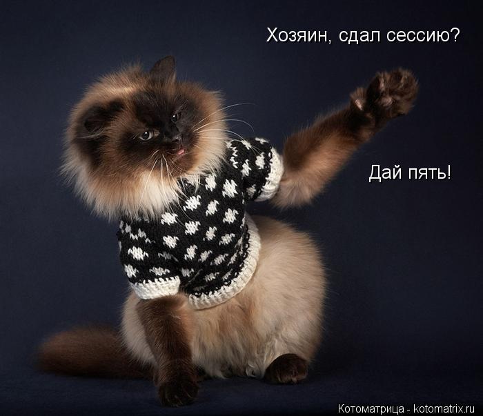 Котоматрица: Хозяин, сдал сессию? Дай пять!