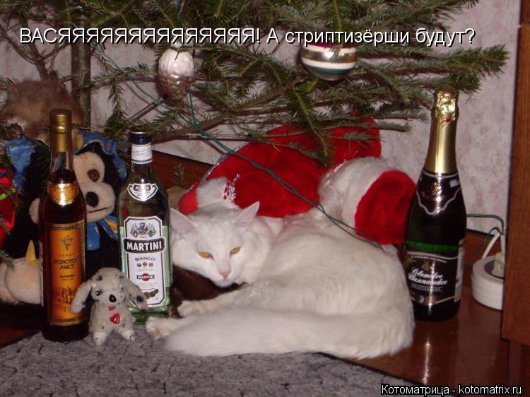Котоматрица: ВАСЯЯЯЯЯЯЯЯЯЯЯЯЯЯ! А стриптизёрши будут?