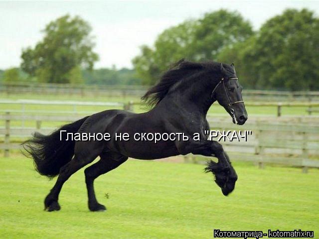 Главное не скорость а "РЖАЧ"... Котоматрица: Главное не скорость а "РЖАЧ"