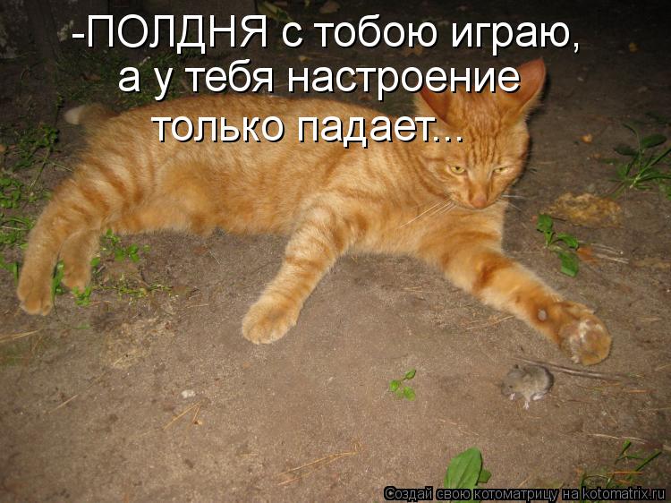 -ПОЛДНЯ с тобою играю, а у тебя настроение только падает...... Котоматрица: -ПОЛДНЯ с тобою играю, а у тебя настроение только падает...