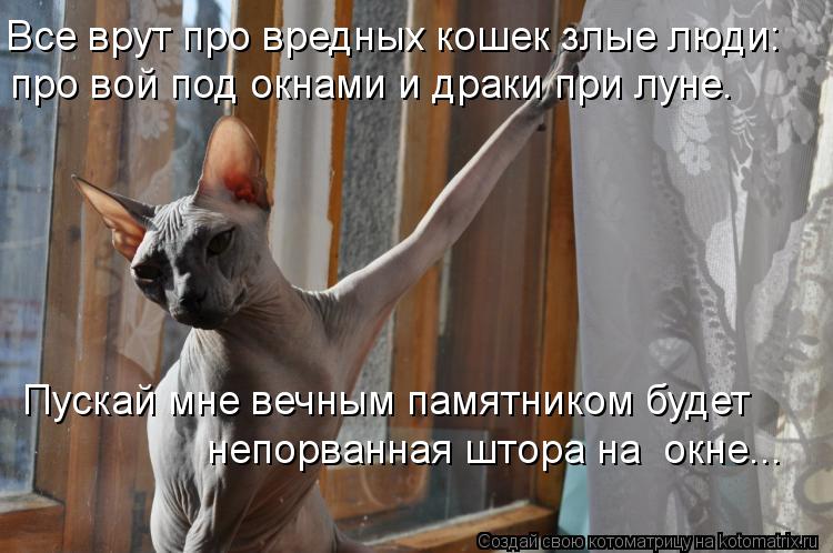 Все врут про вредных кошек злые люди: про вой под окнами и драки при луне. Пускай мне вечным памятник... Котоматрица: Все врут про вредных кошек злые люди: про вой под окнами и драки при луне. Пускай мне вечным памятником будет непорванная штора на окне...