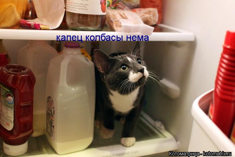 капец колбасы нема... Котоматрица: капец колбасы нема
