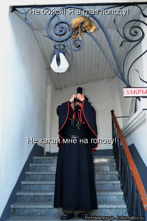 Котоматрица: Не какай мне на голову! Не бойся! Я в глаз поподу!