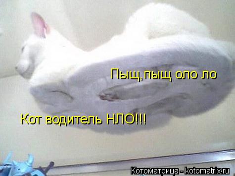 Котоматрица: Пыщ,пыщ оло ло Кот водитель НЛО!!!