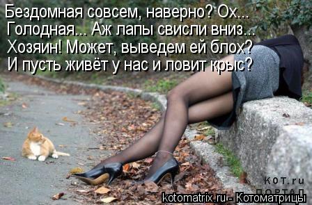 Бездомная совсем, наверно? Ох... Голодная... Аж лапы свисли вниз... Хозяин! Может, выведем ей блох? И... Котоматрица: Бездомная совсем, наверно? Ох... Голодная... Аж лапы свисли вниз... Хозяин! Может, выведем ей блох? И пусть живёт у нас и ловит крыс?