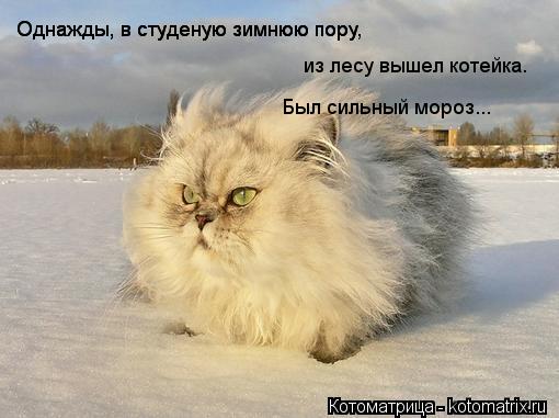 Котоматрица: Однажды, в студеную зимнюю пору Однажды, в студеную зимнюю пору, из лесу вышел котейка Был сильный мороз... .