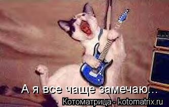 Котоматрица: А я все чаще замечаю...