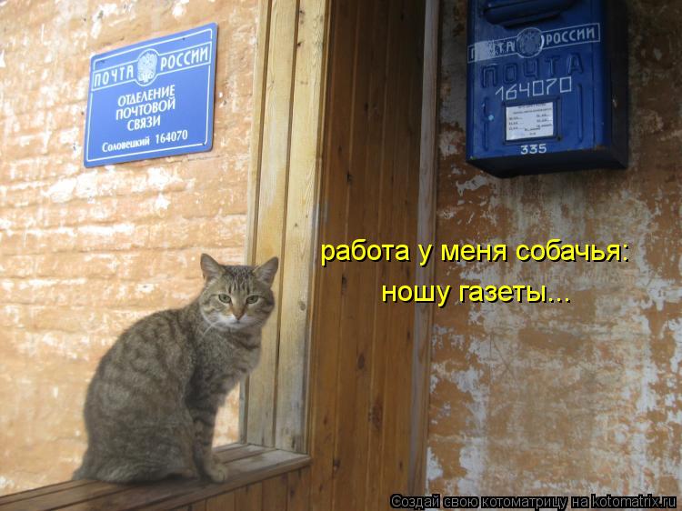 работа у меня собачья: ношу газеты...... Котоматрица: работа у меня собачья: ношу газеты...