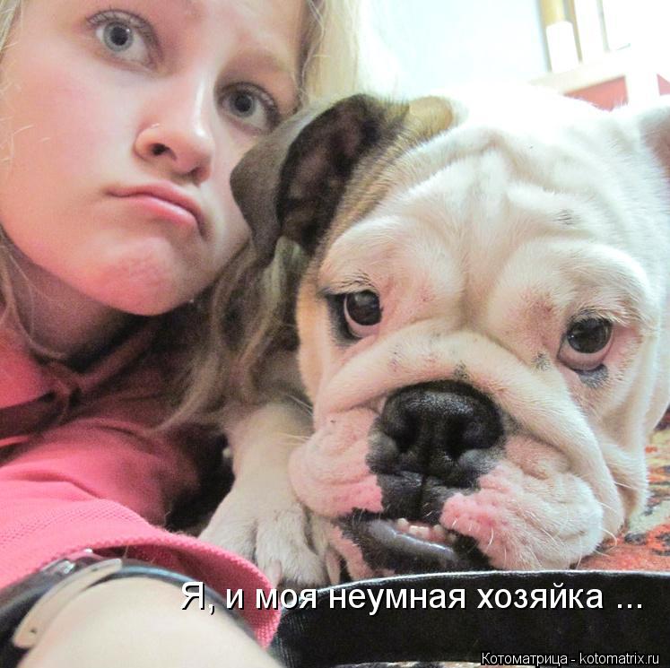 Я, и моя неумная хозяйка ...... Котоматрица: Я, и моя неумная хозяйка ...