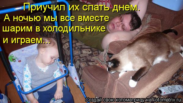 http://kotomatrix.ru/images/lolz/2012/06/21/kotomatritsa_kY.jpg