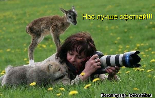 Котоматрица: Нас лучше сфоткай!!!