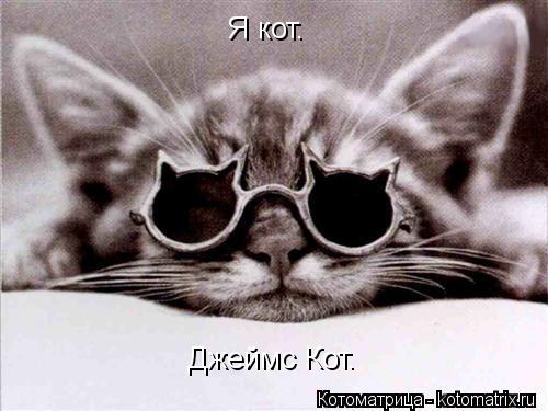 Я кот. Джеймс Кот.... Котоматрица: Я кот. Джеймс Кот.