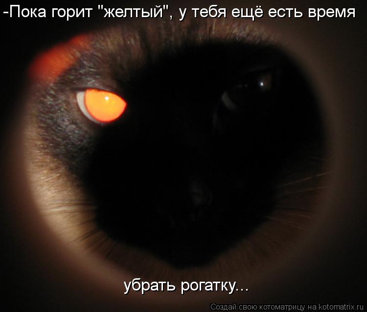 Котоматрица: -Пока горит "желтый", у тебя ещё есть время убрать рогатку...