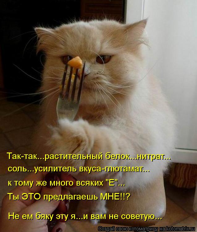 Котоматрица: Так-так...растительный белок...нитрат... соль...усилитель вкуса-глютамат... к тому же много всяких "Е"... Ты ЭТО предлагаешь МНЕ!!? Не ем бяку эту я..