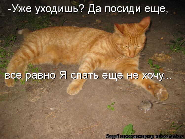 -Уже уходишь? Да посиди еще, все равно Я спать еще не хочу...... Котоматрица: -Уже уходишь? Да посиди еще, все равно Я спать еще не хочу...