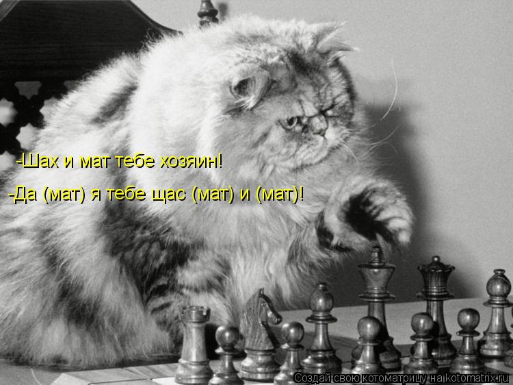 -Шах и мат тебе хозяин! -Да (мат) я тебе щас (мат) и (мат)!... Котоматрица: -Шах и мат тебе хозяин! -Да (мат) я тебе щас (мат) и (мат)!