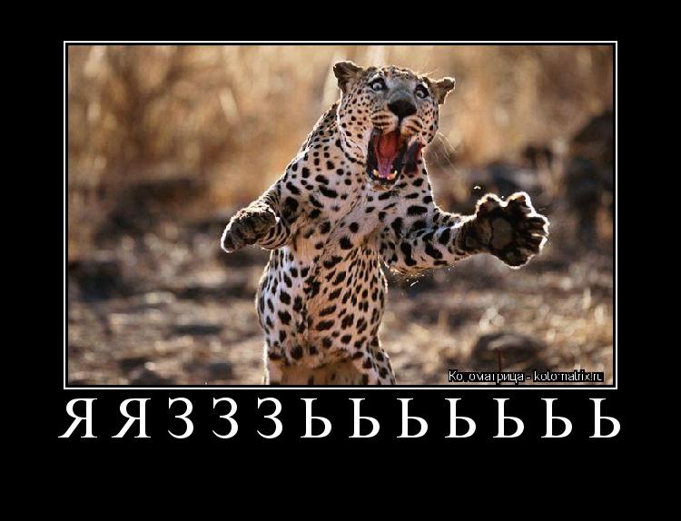 ЯЯЗЗЗЬЬЬЬЬЬЬ ... Котоматрица: ЯЯЗЗЗЬЬЬЬЬЬЬ