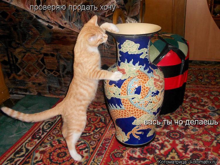 вась ты чо делаешь проверяю продать хочу проверяю продать хочу... Котоматрица: вась ты чо делаешь проверяю продать хочу проверяю продать хочу