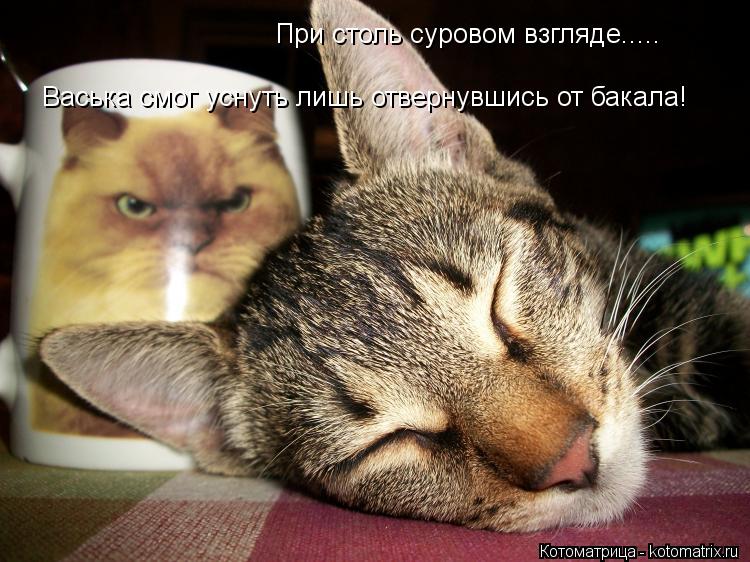При столь суровом взгляде..... Васька смог уснуть лишь отвернувшись от бакала!... Котоматрица: При столь суровом взгляде..... Васька смог уснуть лишь отвернувшись от бакала!