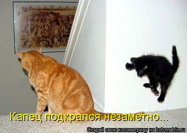 Котоматрица: Капец подкрался незаметно...