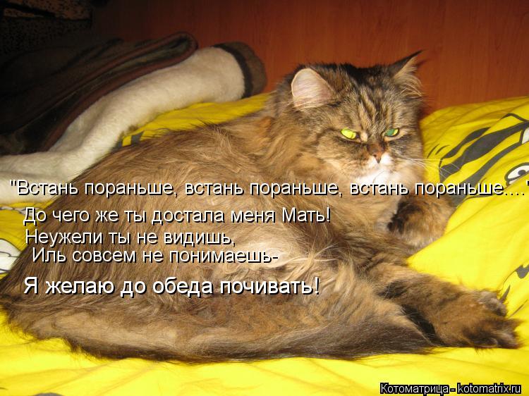 "Встань пораньше, встань пораньше, встань пораньше...." До чего же ты достала меня Мать! Неужели ты н... Котоматрица: "Встань пораньше, встань пораньше, встань пораньше...." До чего же ты достала меня Мать! Неужели ты не видишь, Иль совсем не понимаешь- Я желаю