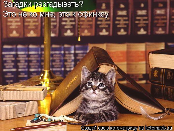 Котоматрица: Загадки разгадывать? Это не ко мне, это к сфинксу