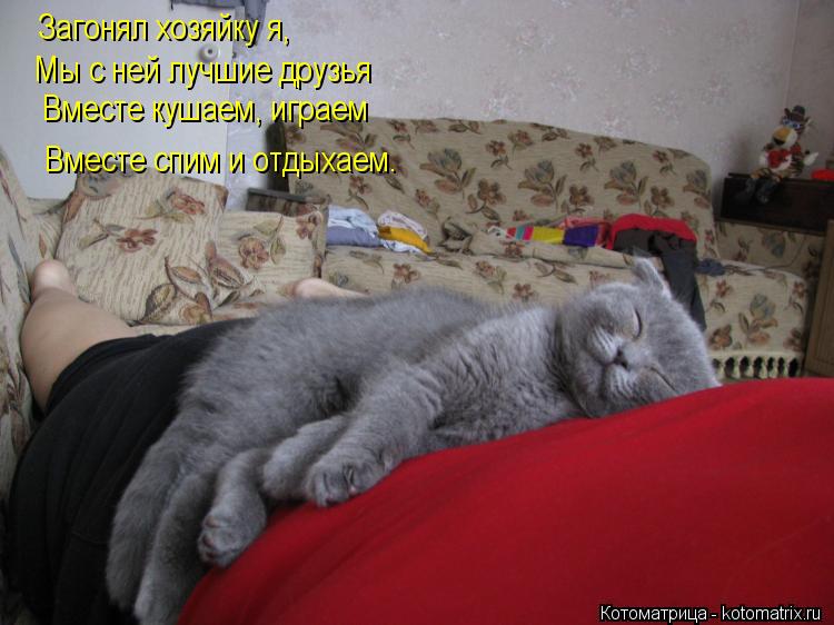 Загонял хозяйку я, Мы с ней лучшие друзья Вместе кушаем, играем Вместе спим и отдыхаем.... Котоматрица: Загонял хозяйку я, Мы с ней лучшие друзья Вместе кушаем, играем Вместе спим и отдыхаем.