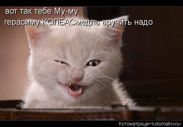 вот так тебе Му-му герасиму КОЛБАСмедль вручить надо... Котоматрица: вот так тебе Му-му герасиму КОЛБАСмедль вручить надо