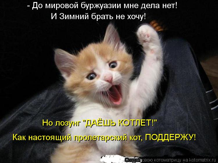 - До мировой буржуазии мне дела нет! И Зимний брать не хочу! Но лозунг "ДАЁШЬ КОТЛЕТ!" Как настоящий ... Котоматрица: - До мировой буржуазии мне дела нет! И Зимний брать не хочу! Но лозунг "ДАЁШЬ КОТЛЕТ!" Как настоящий пролетарский кот, ПОДДЕРЖУ!