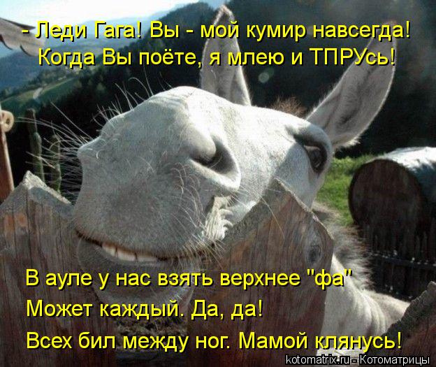 Котоматрица: - Леди Гага! Вы - мой кумир навсегда! Когда Вы поёте, я млею и ТПРУсь! В ауле у нас взять верхнее "фа" Может каждый. Да, да! Всех бил между ног. Мам