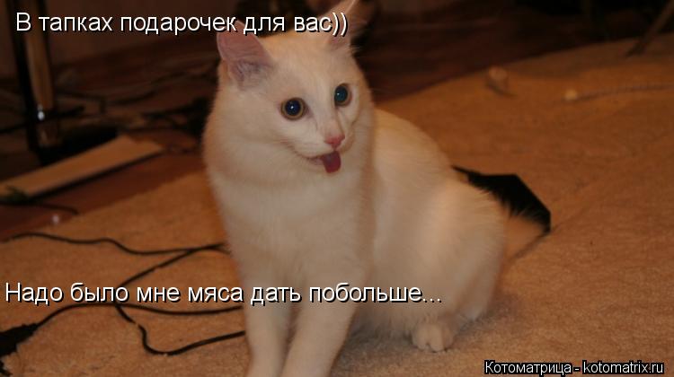 В тапках подарочек для вас)) Надо было мне мяса дать побольше...... Котоматрица: В тапках подарочек для вас)) Надо было мне мяса дать побольше...