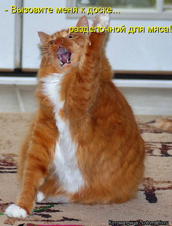 - Вызовите меня к доске... разделочной для мяса!!!... Котоматрица: - Вызовите меня к доске... разделочной для мяса!!!